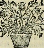 An illustration from Histoire des empereurs, et des autres princes qui ont regné durant les six premiers siècles de l'église, de leurs guerres contre les Juifs, des écrivains profanes, & des personnes les plus illustrés de leur temps Justifiée par les citations des auteurs originaux; avec des notes pour éclaircir les principales difficultés de l'histoire (1700)