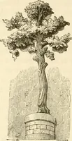 An illustration from Histoire des enseignes de Paris. Revue et publiée par le Bibliophile Jacob [pseud.] avec un appendice par J. Cousin.. (1884)