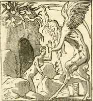 An illustration from Histoire des enseignes de Paris. Revue et publiée par le Bibliophile Jacob [pseud.] avec un appendice par J. Cousin.. (1884)