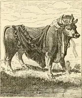 An illustration from Histoire des enseignes de Paris. Revue et publiée par le Bibliophile Jacob [pseud.] avec un appendice par J. Cousin.. (1884)