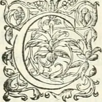 An illustration from Histoire des hommes illvstres de la maison de Medici : avec vn abbrege des comtes de Bolongne et d'Avvergne (1564)
