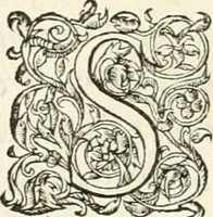 An illustration from Histoire des hommes illvstres de la maison de Medici : avec vn abbrege des comtes de Bolongne et d'Avvergne (1564)