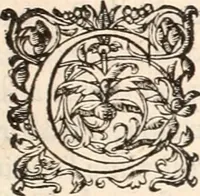 An illustration from Histoire des hommes illvstres de la maison de Medici : avec vn abbrege des comtes de Bolongne et d'Avvergne (1564)