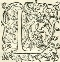 An illustration from Histoire des hommes illvstres de la maison de Medici : avec vn abbrege des comtes de Bolongne et d'Avvergne (1564)