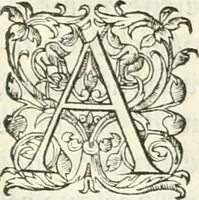 An illustration from Histoire des hommes illvstres de la maison de Medici : avec vn abbrege des comtes de Bolongne et d'Avvergne (1564)