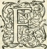 An illustration from Histoire des hommes illvstres de la maison de Medici : avec vn abbrege des comtes de Bolongne et d'Avvergne (1564)