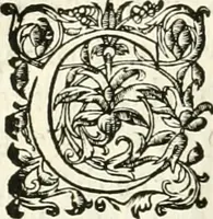 An illustration from Histoire des hommes illvstres de la maison de Medici : avec vn abbrege des comtes de Bolongne et d'Avvergne (1564)