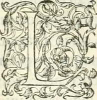 An illustration from Histoire des hommes illvstres de la maison de Medici : avec vn abbrege des comtes de Bolongne et d'Avvergne (1564)