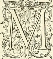 An illustration from Histoire des hommes illvstres de la maison de Medici : avec vn abbrege des comtes de Bolongne et d'Avvergne (1564)