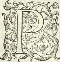 An illustration from Histoire des hommes illvstres de la maison de Medici : avec vn abbrege des comtes de Bolongne et d'Avvergne (1564)