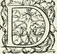 An illustration from Histoire des hommes illvstres de la maison de Medici : avec vn abbrege des comtes de Bolongne et d'Avvergne (1564)