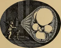 Picture 299 of 338 from Histoire des jouets : ouvrage contenant 250 illustrations dans le texte et 100 gravures hors texte dont 50 planches coloriées à l'aquarelle (1902), leaf 399