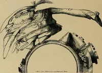 Picture 317 of 338 from Histoire des jouets : ouvrage contenant 250 illustrations dans le texte et 100 gravures hors texte dont 50 planches coloriées à l'aquarelle (1902), leaf 420