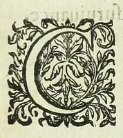 An illustration from Histoire des mouvemens de Bourdeaux (1651)