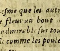 An illustration from Histoire des plantes, nouuellement trouuées en l'Isle Virgine, & autres lieux, lesquelles ont esté prises & cultiuées au iarden de Monsieur Robin arboriste du Roy. Non encore veuës n'y imprimées par cy deuant (1620)