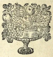 An illustration from Histoire des plus illustres et scavans hommes de leurs siecles : tant de l'Europe que de l'Asie, Afrique & Amerique : avec leurs portraits en tailles-douces, tirez sur les veritables originaux (1670)