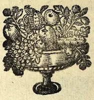 Picture 10 of 32 from Histoire des plus illustres et scavans hommes de leurs siecles : tant de l'Europe que de l'Asie, Afrique & Amerique : avec leurs portraits en tailles-douces, tirez sur les veritables originaux (1670), leaf 108