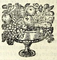 An illustration from Histoire des plus illustres et scavans hommes de leurs siecles : tant de l'Europe que de l'Asie, Afrique & Amerique : avec leurs portraits en tailles-douces, tirez sur les veritables originaux (1670)