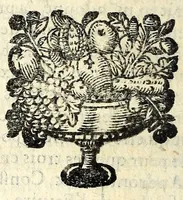 Picture 27 of 32 from Histoire des plus illustres et scavans hommes de leurs siecles : tant de l'Europe que de l'Asie, Afrique & Amerique : avec leurs portraits en tailles-douces, tirez sur les veritables originaux (1670), leaf 252