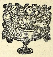 An illustration from Histoire des plus illustres et scavans hommes de leurs siecles : tant de l'Europe que de l'Asie, Afrique & Amerique : avec leurs portraits en tailles-douces, tirez sur les veritables originaux (1670)