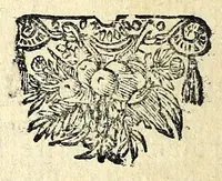 Picture 26 of 44 from Histoire des plus illustres et scavans hommes de leurs siecles : tant de l'Europe que de l'Asie, Afrique & Amerique : avec leurs portraits en tailles-douces, tirez sur les veritables originaux (1670), leaf 242