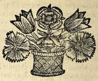 Picture 28 of 44 from Histoire des plus illustres et scavans hommes de leurs siecles : tant de l'Europe que de l'Asie, Afrique & Amerique : avec leurs portraits en tailles-douces, tirez sur les veritables originaux (1670), leaf 268