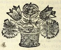 Picture 37 of 44 from Histoire des plus illustres et scavans hommes de leurs siecles : tant de l'Europe que de l'Asie, Afrique & Amerique : avec leurs portraits en tailles-douces, tirez sur les veritables originaux (1670), leaf 374