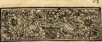 An illustration from Histoire des princes d'Orange de la maison de Nassau (1693)