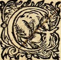 Picture 13 of 24 from Histoire des princes d'Orange de la maison de Nassau (1693), leaf 116