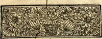 An illustration from Histoire des princes d'Orange de la maison de Nassau (1693)