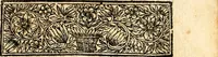 An illustration from Histoire des princes d'Orange de la maison de Nassau (1693)