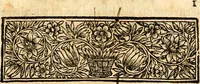 An illustration from Histoire des princes d'Orange de la maison de Nassau (1693)