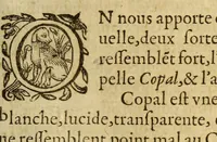 An illustration from Histoire des simples medicamens apportés de l'Amerique, desquels on se sert en la medecine. (1619)