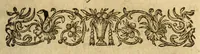 An illustration from Histoire du baulme. : Ou il est prouué que nous auons vraye cognoissance de la plante qui produict le baulme, & par consequent de son fruict, & de son bois. Contre l'opinion commune de plusieurs medecins, & apoticaires anciens & modernes. (1619)