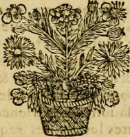 An illustration from Histoire du Concile de Trente (1655)