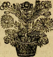 An illustration from Histoire du Concile de Trente (1655)