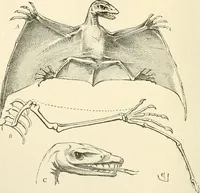 An illustration from Histoire d'un dessinateur, comment on apprend à dessiner; (1879)