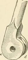 An illustration from Histoire d'un dessinateur, comment on apprend à dessiner; (1879)