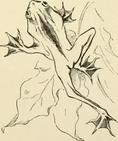 An illustration from Histoire d'un dessinateur, comment on apprend à dessiner; (1879)