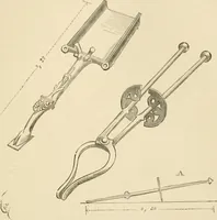 An illustration from Histoire d'un dessinateur, comment on apprend à dessiner; (1879)