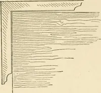 An illustration from Histoire d'un dessinateur, comment on apprend à dessiner; (1879)