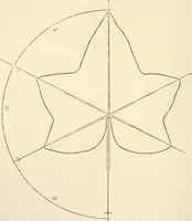 An illustration from Histoire d'un dessinateur, comment on apprend à dessiner; (1879)