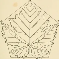 An illustration from Histoire d'un dessinateur, comment on apprend à dessiner; (1879)