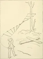 An illustration from Histoire d'un dessinateur, comment on apprend à dessiner; (1879)