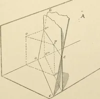An illustration from Histoire d'un dessinateur, comment on apprend à dessiner; (1879)