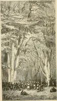 An illustration from Histoire d'un hôtel de ville et d'une cathédrale; (1878)