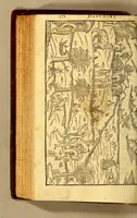 An illustration from Histoire d'un voyage faict en la terre du Bresil, autrement dite Amerique. : Contenant la nauigation, & choses remarquables, veuës sur mer par l'auteur. Le comportement de Villegagnon en ce pays-la. Les moeurs & façons de viure estranges des sauuages bresiliens: auec vn colloque de leur langage. Ensemble la description de plusieurs animaux, arbres, herbes, & autres choses singulieres, & du tout inconnues par-deçà: dont on verra les sommaires des chapitres au commencement du liure. (1585)