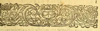 An illustration from Histoire d'un voyage faict en la terre du Bresil, autrement dite Amerique. : Contenant la nauigation, & choses remarquables, veuës sur mer par l'auteur. Le comportement de Villegagnon en ce pays-la. Les moeurs & façons de viure estranges des sauuages bresiliens: auec vn colloque de leur langage. Ensemble la description de plusieurs animaux, arbres, herbes, & autres choses singulieres, & du tout inconnues par-deçà: dont on verra les sommaires des chapitres au commencement du liure. (1585)