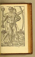 An illustration from Histoire d'un voyage fait en la terre du Bresil, dite Amerique. : Contenant la nauigation & choses remarquables, veues sur mer par l'autheur. Le comportement de Villegagnon en ce pays la. Les moeurs & façons de viure estranges des sauuages bresiliens: auec vn colloque de leur langage. Ensemble la description de plusieurs animaux, poissons difformes, arbres, herbes, fruicts, & racines, & autres choses singulieres, & au tout incognues par deça, dont on verra les sommaires des chapitres au deuant la preface. Auec les figures, reueue, corrigee & encores de nouueau bien augmentee par l'autheur. (1611)