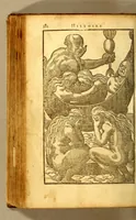 An illustration from Histoire d'un voyage fait en la terre du Bresil, dite Amerique. : Contenant la nauigation, & choses remarquables, veuës sur mer par l'autheur. Le comportement de Villegagnon en ce païs la. Les moeurs & façons de viure estranges des sauuages bresiliens: auec vn colloque de leur langage. Ensemble la description de plusieurs animaux, poissons, diformes, arbres, herbes, fruicts, racines, & autres choses singulieres, & du tout incognues par deçà: dont on verra les sommaires des chapitres au commencement du liure. Auec les figures, reueue, corrigee & bien augmentee par l'autheur. (1600)